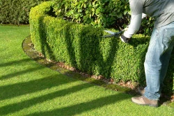 Entretien jardin  Avranches